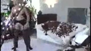 Dear I can t believe you talked me into this