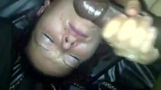 Drinking and milking BBC