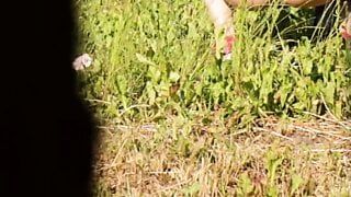 Summer is the voyeur season