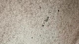 Brutal fucking huge monster dildos with my wife, ass fisting