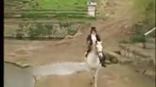 Fuck brutality lingerie #56