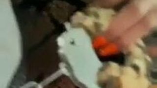 Kristina Penava (mandarina)