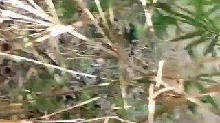 Outdoor anchors wear long skirts to seduce passers-by