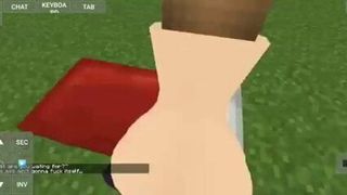 yCokkixyz ensina a tranzar no minecraft