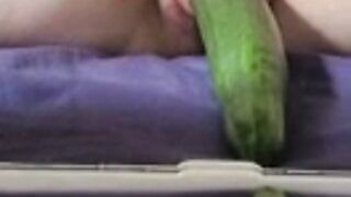 Cucumber pumped up pussy