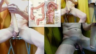 double dong anal ass insertion