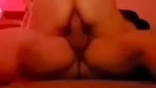 Kahba wahrania Camelia tetnak m zok w thab Anal