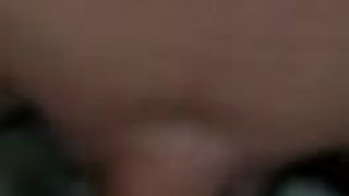 Rein mit seinen schwanz