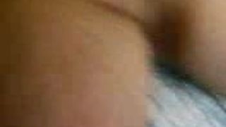 sharmota  from egypt