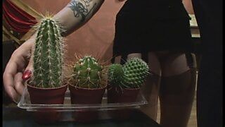 Sklaven Casting – Episode 2