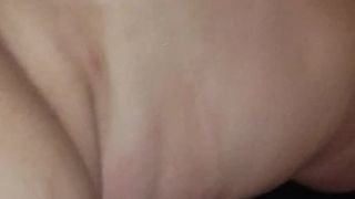 Souris beurette  de lomme