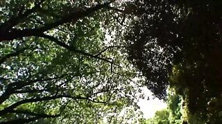 A hairy dream couple fuck