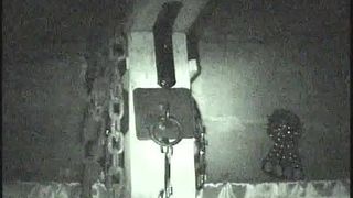 Cub Expression BDSM Dungeon