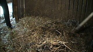 Der Sadisten-Zirkel 10 (Full Movie)