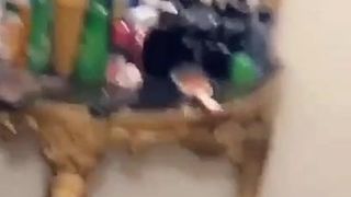 girl fucked boyfried