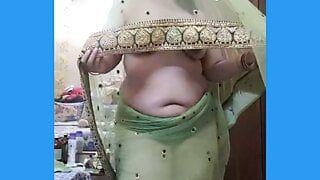 indian bhabi teasing her husband in net saree