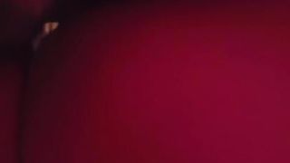 Ma chienne en leuleu