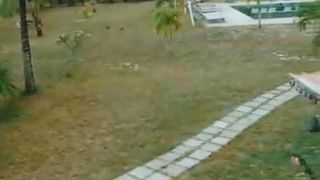 The brown girl diary