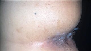 Creampies cumshot Compilation