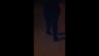 de tras de mi inquilina