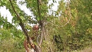 Italian amateur sex scenes of hot homemade embraces of