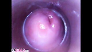 PJGIRLS Silvia DeLuxe sticks camera in her vagina (pussycam)