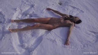Snow Brush – Queensnake.com – Queensect.com