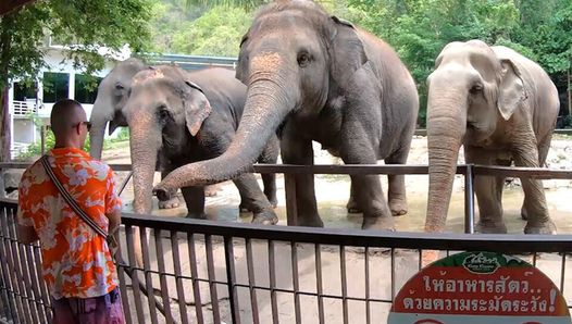 Amateur Thai girlfriend went a day out and has sex afterwards with BF