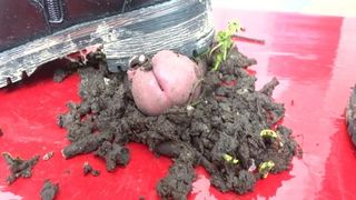 Auf dem Cockboard in den Dreck getreten….