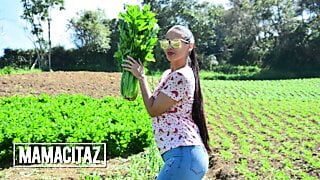 Big Ass Beauty Andreina De Luxe Goes Back Into The Porn Game To Fuck Logan Salamanca – CARNE DEL MERCADO