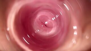 Camera Deep inside Mia’s small pussy