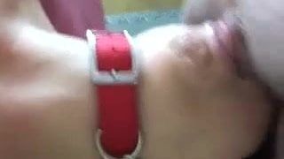 Collared BBW Fingered Throated and Cums