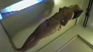 Naughty Asian Bondage