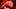 IVY AND TAKI THREESOME