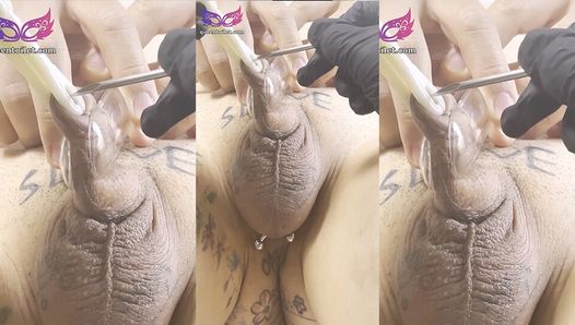 Piercing penis glans, cock head. TATTOO slave, Korean elegant and sexy goddess_20230318