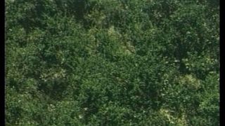 Sie treiben es ueberall Porno Film von 1989