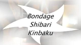 Bondage Shibari Kinbaku