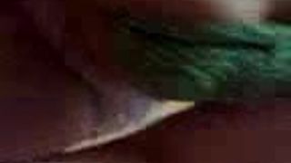 Egyptian man and his gf