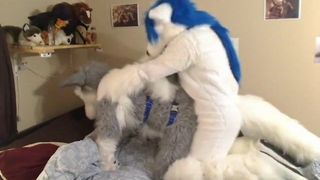 fursuit 2