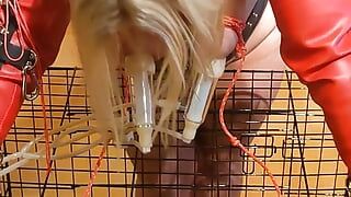 Hucow with bound boobs