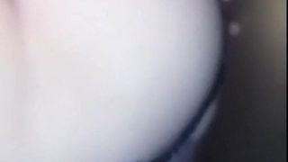 The best abalone net red beauty anchor pupil about fans neti