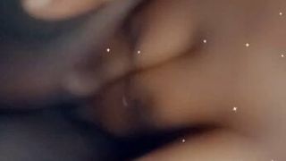 FloridaKeys fingering my cat