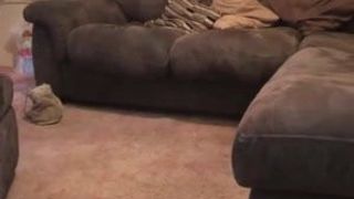 Her round butt is ready for pounding