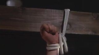 Japanese Tie & Shave