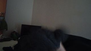 Woolie Hat Loser Wanker