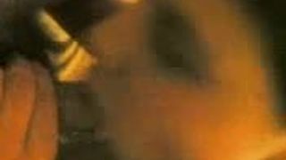 Zvezdana Vladicin Han….Vranje