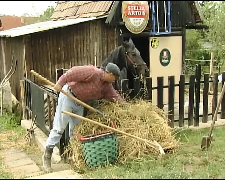 Pretty German teen gets a facial after hot anal fuck