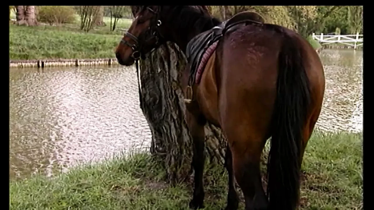 Backey Jakic (Full Movie HD)