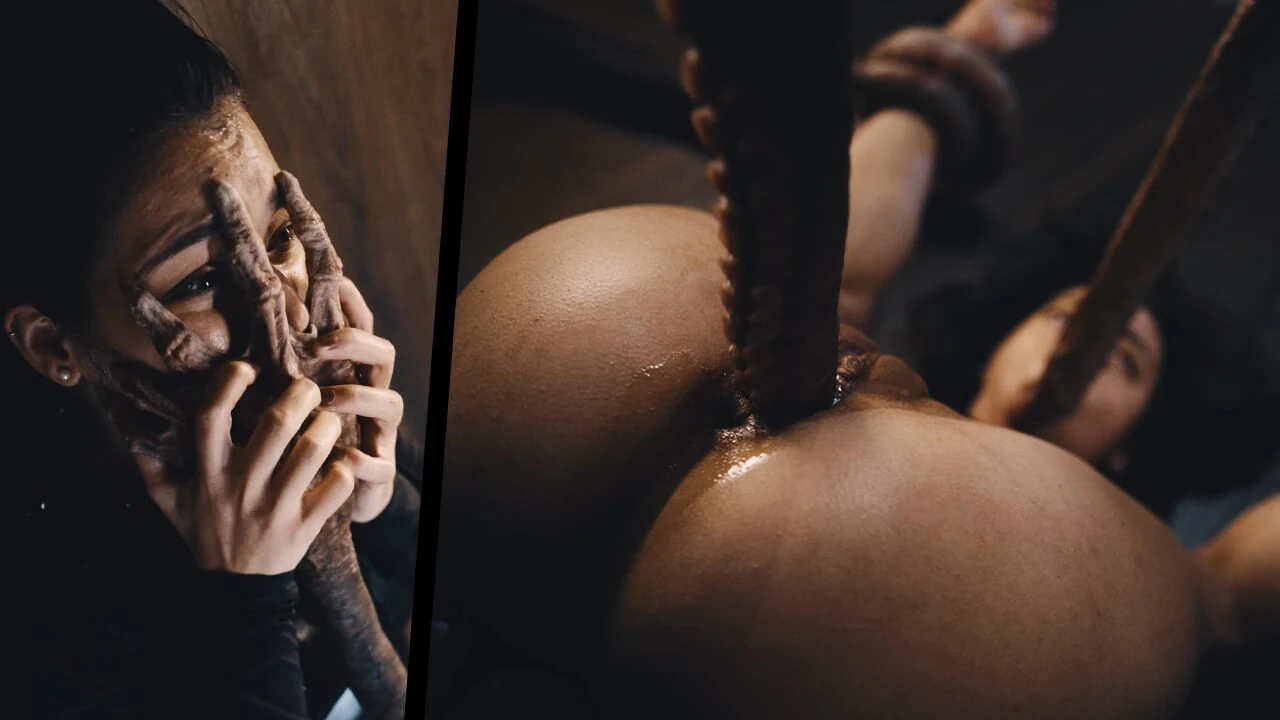 Shelena Oviposition – Hardcore Breeding 3d Alien Anime Hentai Monster Creampie Cumflation