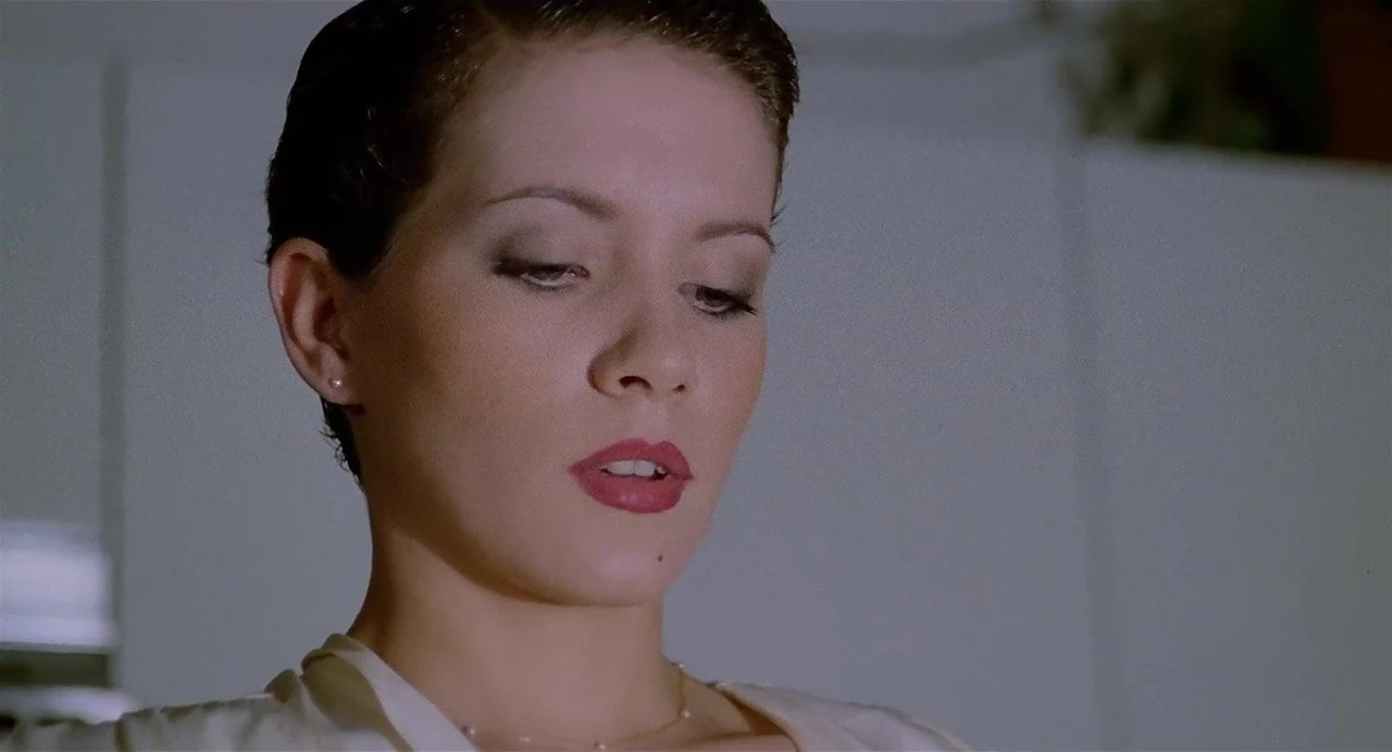 House On The Edge Of The Park (1980)